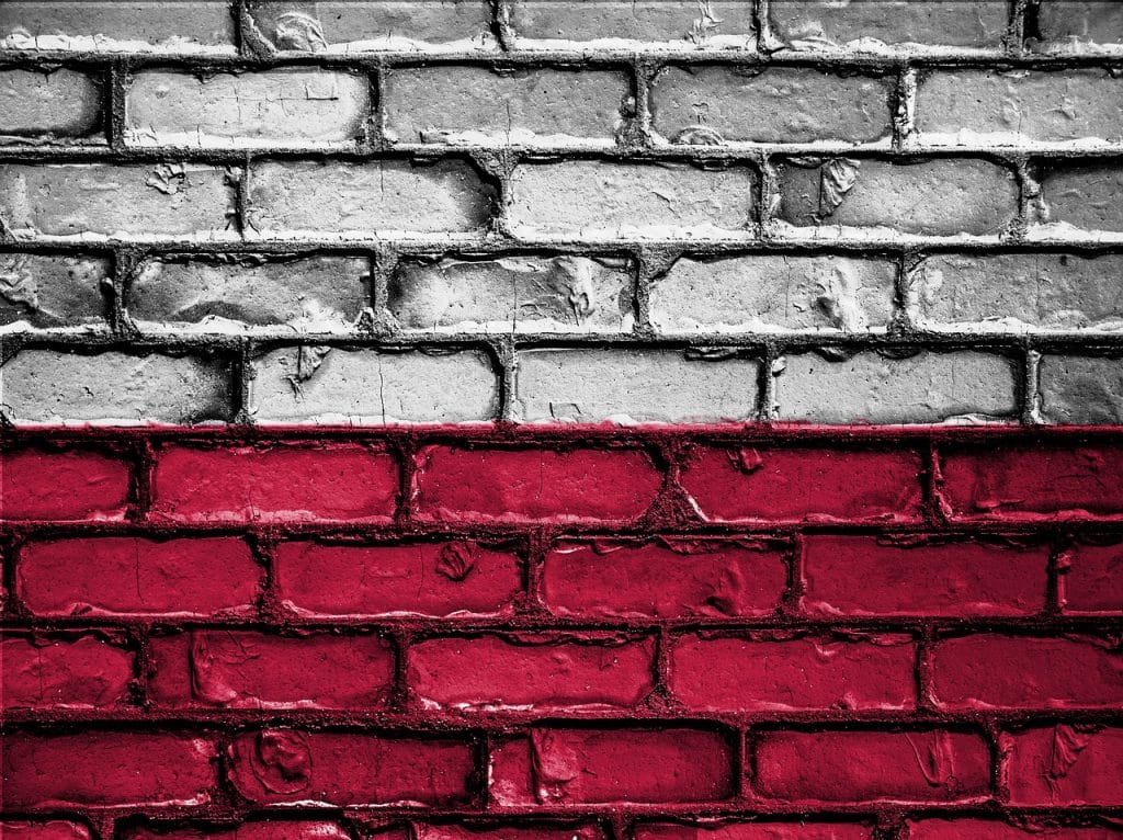 E-commerce w Wielkopolsce: Rozwój handlu internetowego