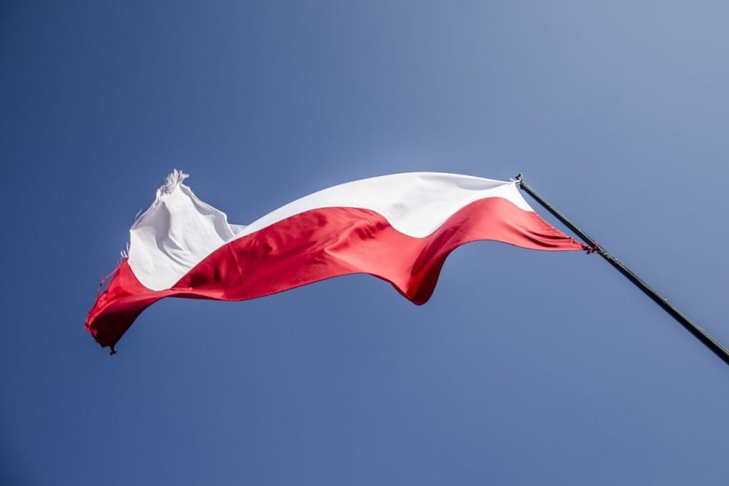 Wielkopolskie influencerki i influencerzy.