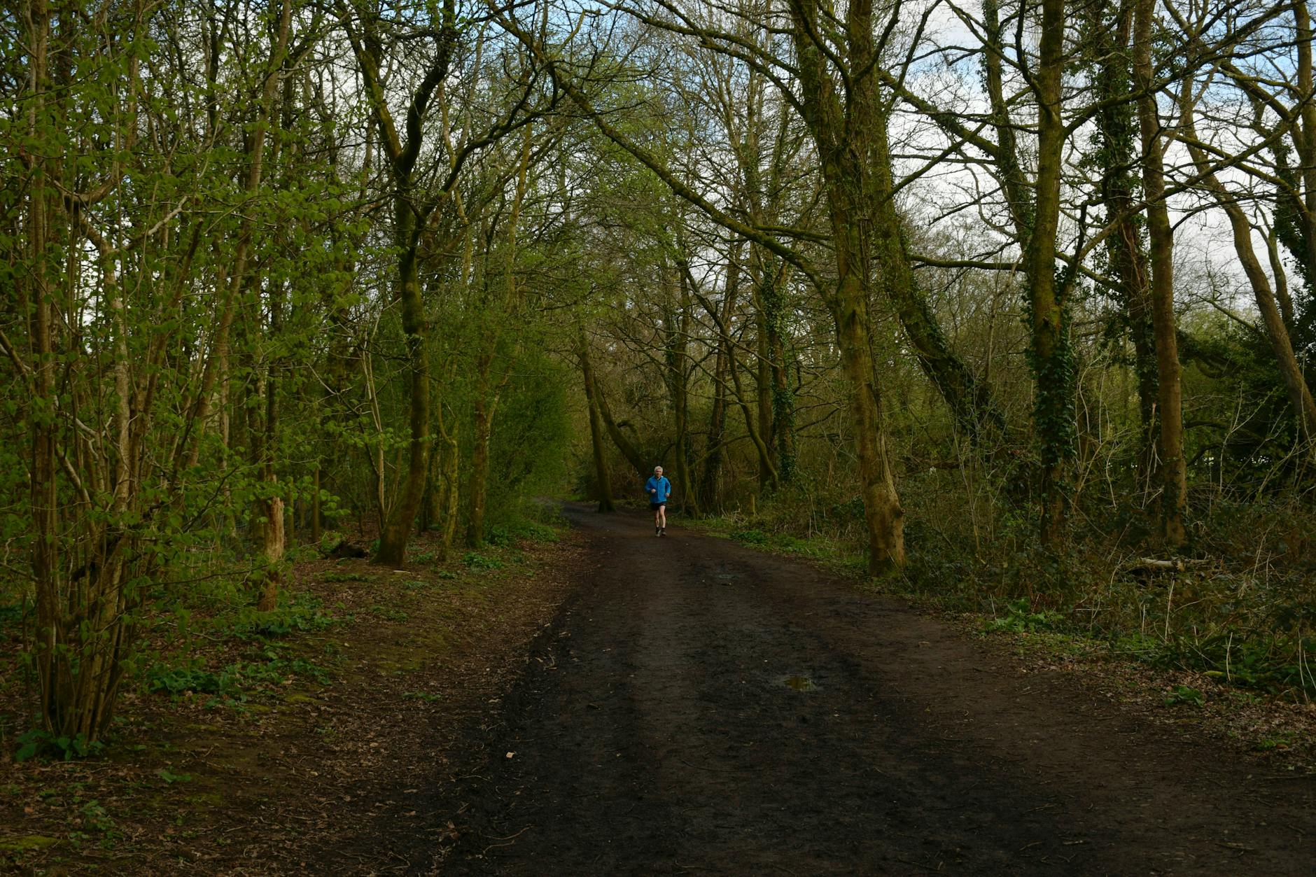 Biegacz na leśnej ścieżce wczesną wiosną w okolicach Lubonia