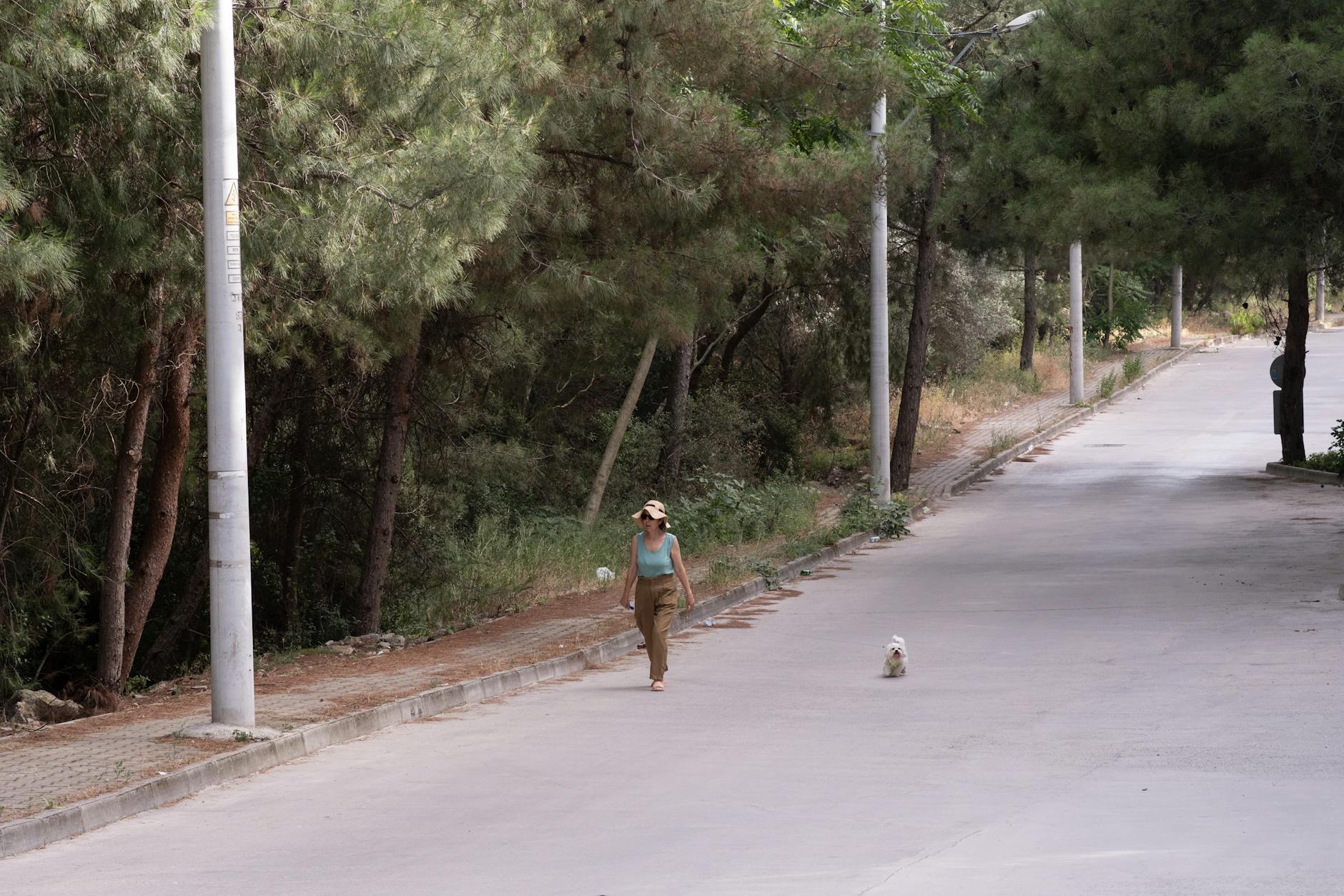 Kobieta spaceruje z psem po zacienionej ulicy w Jarocinie
