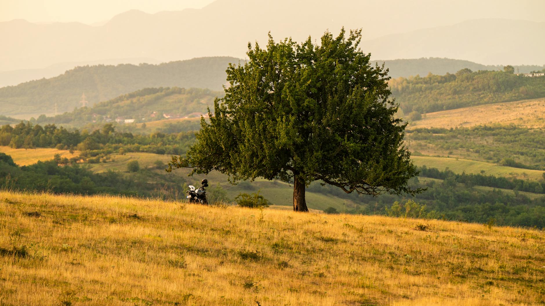 Motocykl pod samotnym drzewem na sielskiej wielkopolskiej wsi