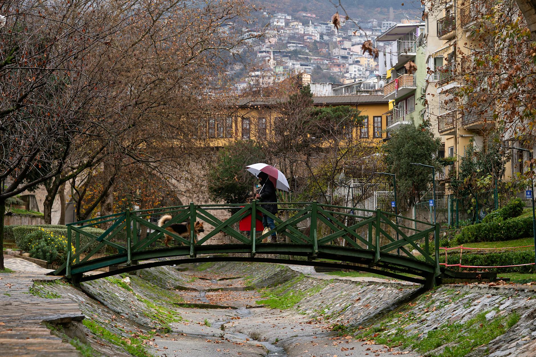 Spacerowicz z parasolem na mostku w parku w jesiennym Luboniu