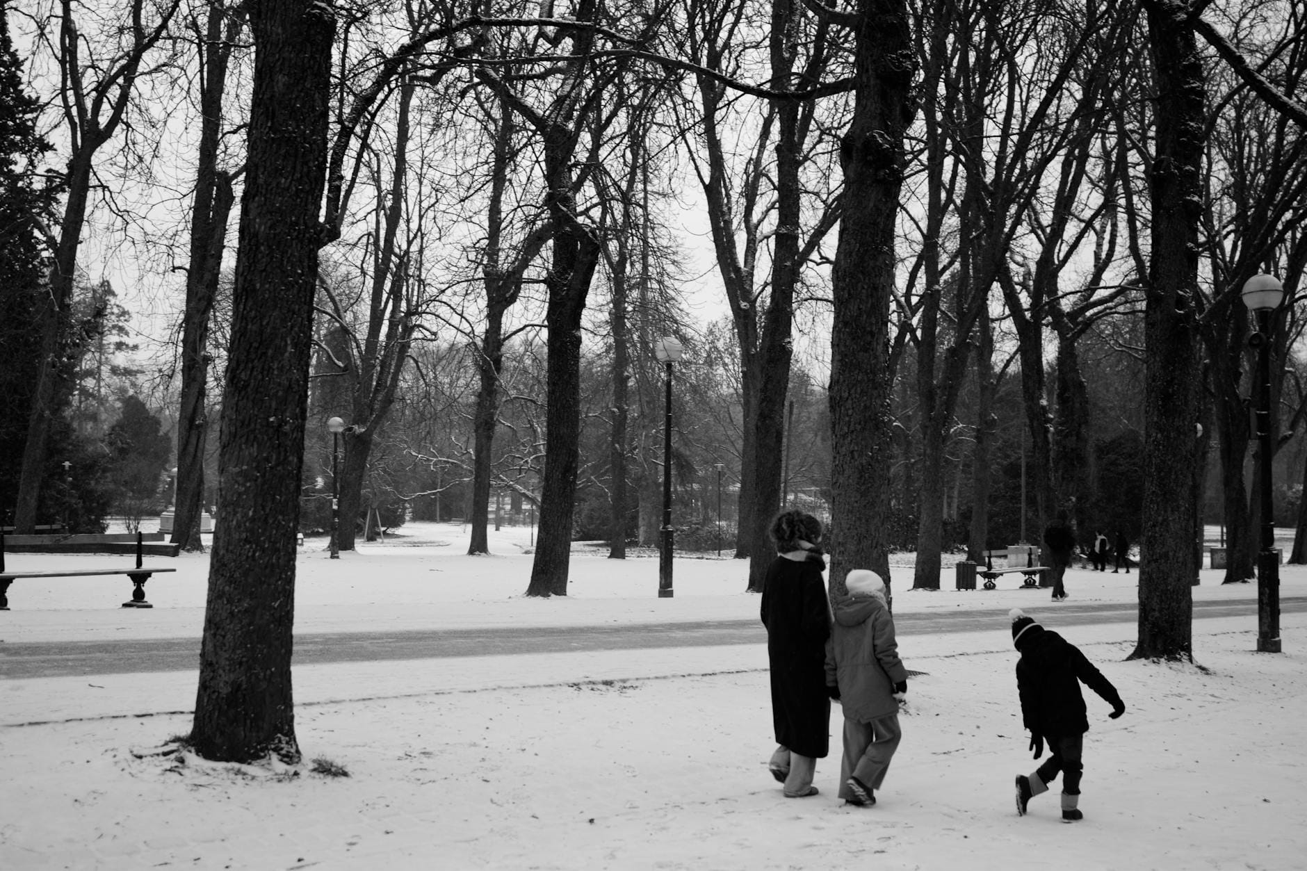 Spacerujący ludzie w ośnieżonym parku zimą